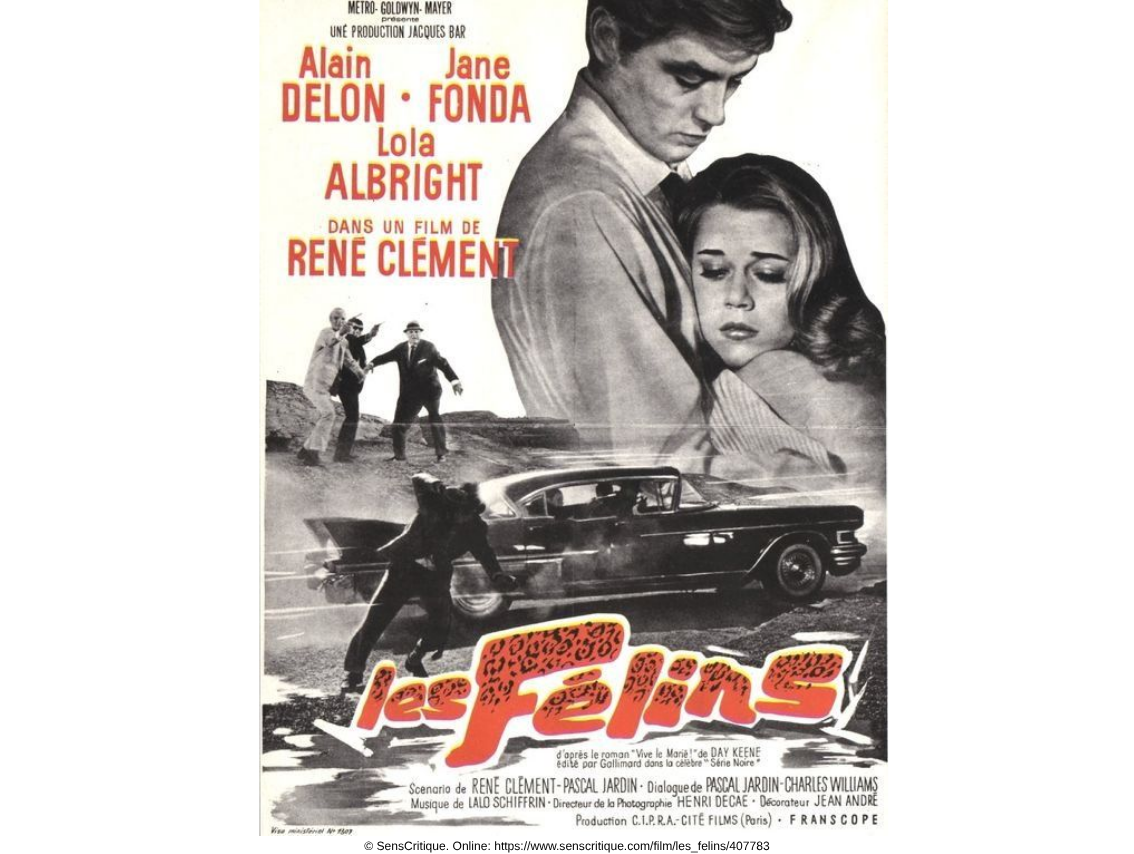 Ciné club les félins